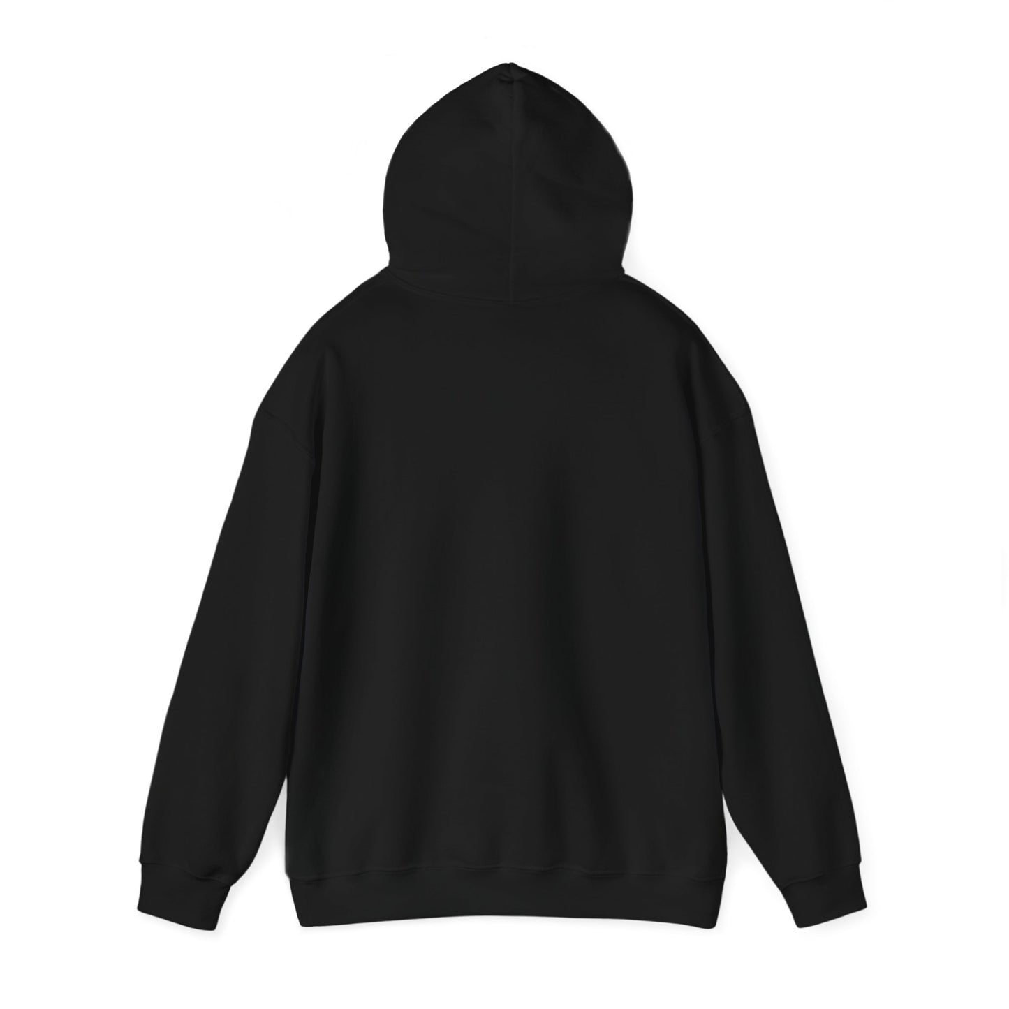 Palestine Will Be Free Map Hoodie - Pro-Palestine Design, Free Palestine Graphic Hoodie, Solidarity Hooded Sweatshirt